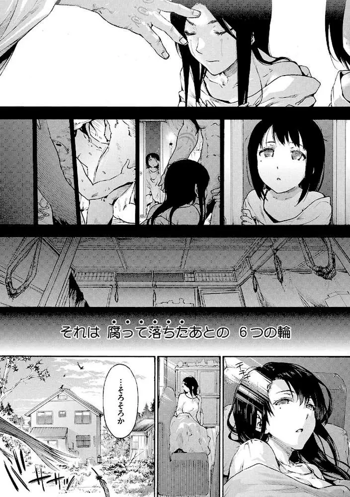 ハーレム・カルト
