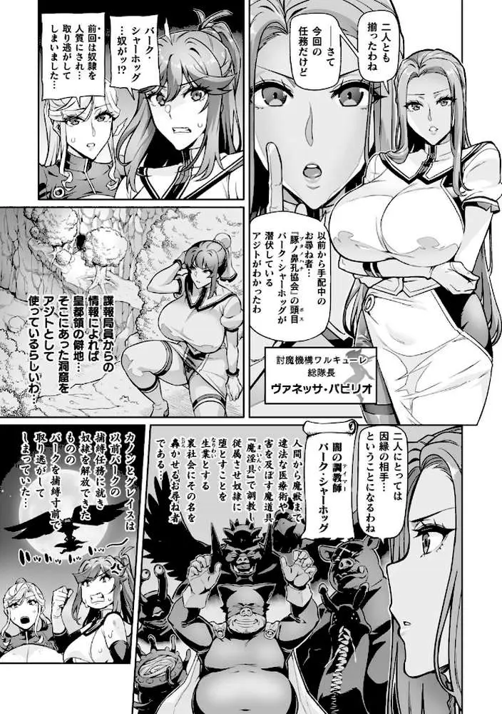 ヴェノムローゼス 〜綺麗な薔薇には淫毒がある〜 - ページ30