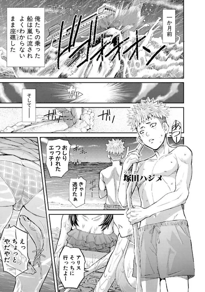 肉辱島 十五メス豚漂流記