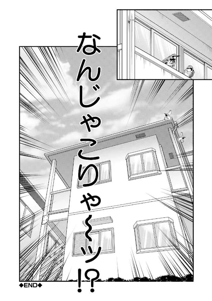 ご近所お姉さんと4Pってマジ！？ - ページ51