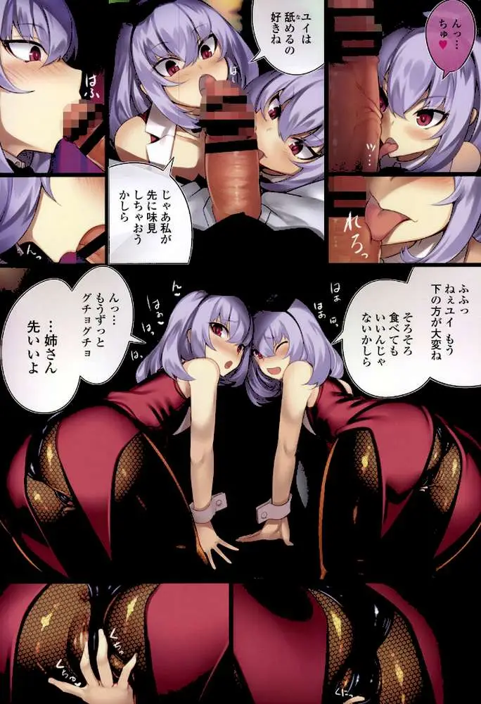 しこってぃ