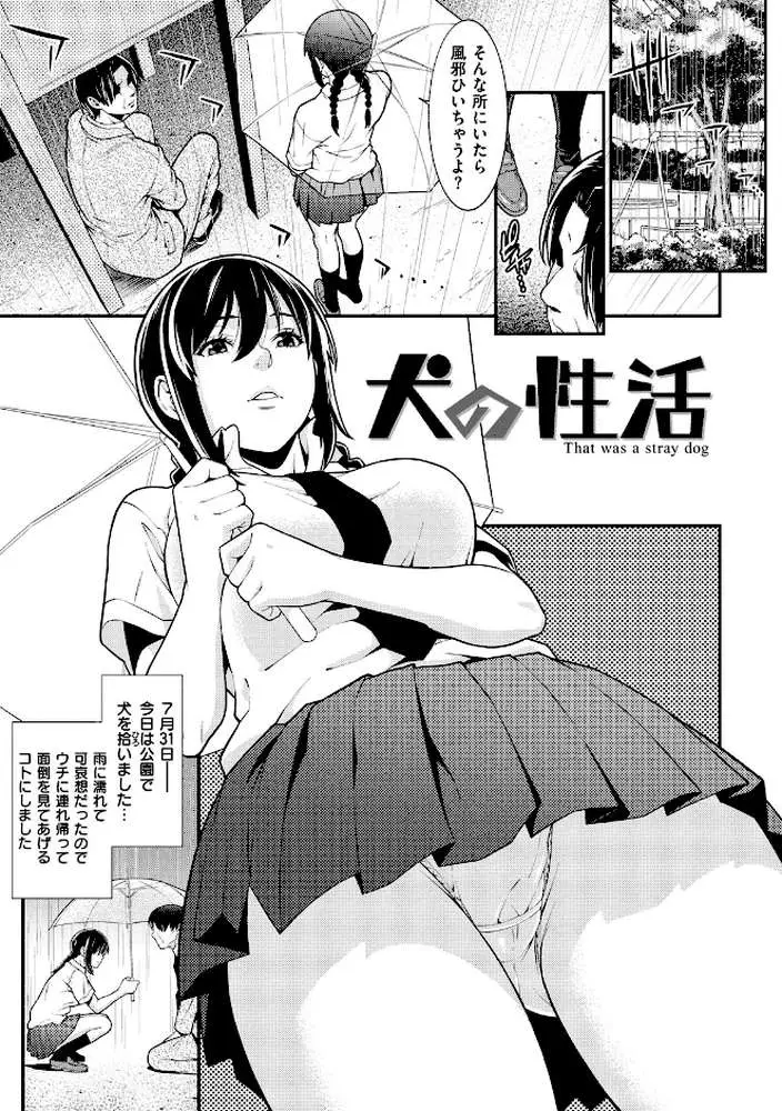 メスサカリ - ページ20