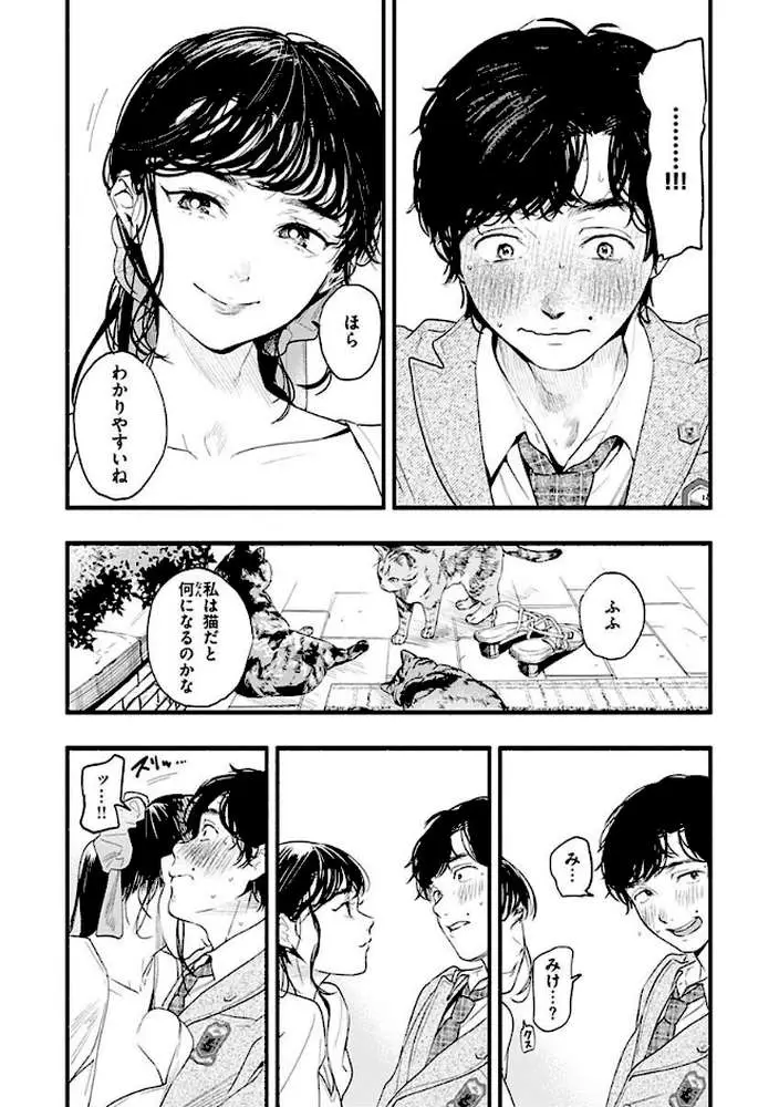 アオハルコンプレックス