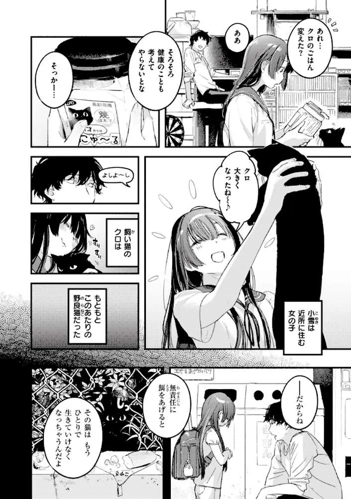 恋のむきだし