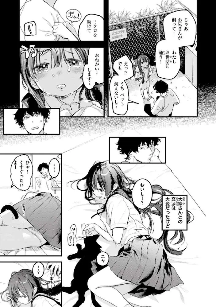 恋のむきだし