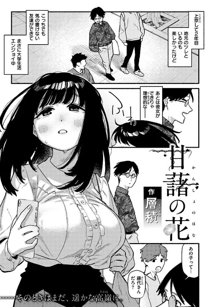 甘藷の花（単話）