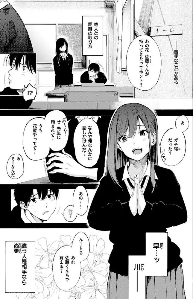ゼラニウム（単話）