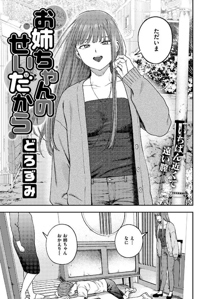 お姉ちゃんのせいだから（単話）