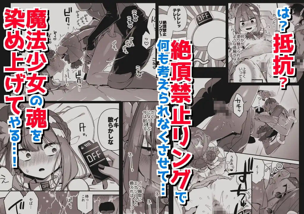 悪の手先になったので。〜魔法少女を凌●します〜3前編
