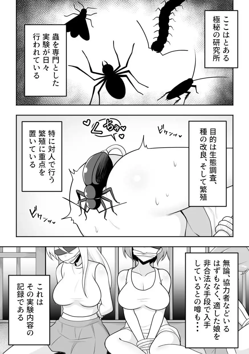 昆蟲研究所4