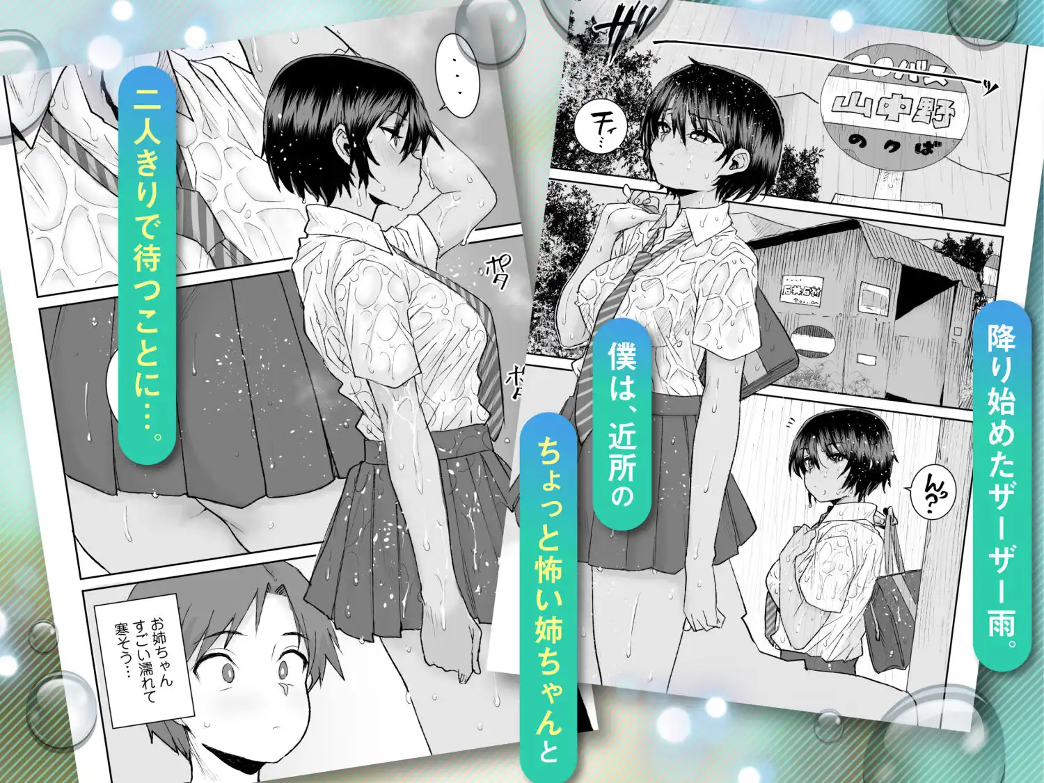 無口で気の強いボーイッシュなお姉ちゃんで僕は童貞を卒業しました