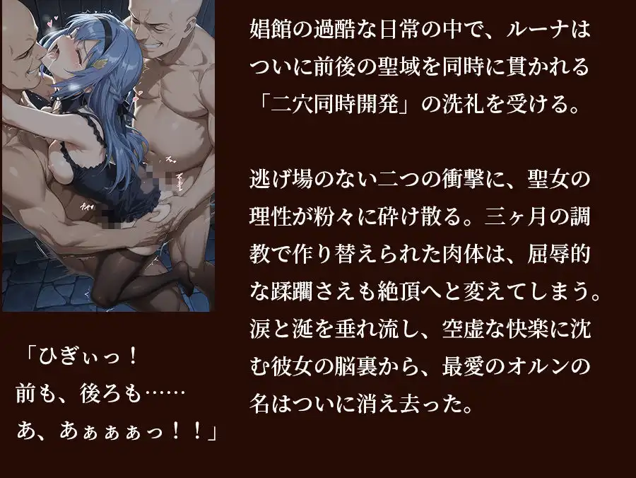 【器用貧乏】ルーナ 【498枚＋1mp4】裏切りのパーティ管理 〜「いなくなったアイツの代わりに、俺たちがたっぷり可愛がってやるよ」〜
