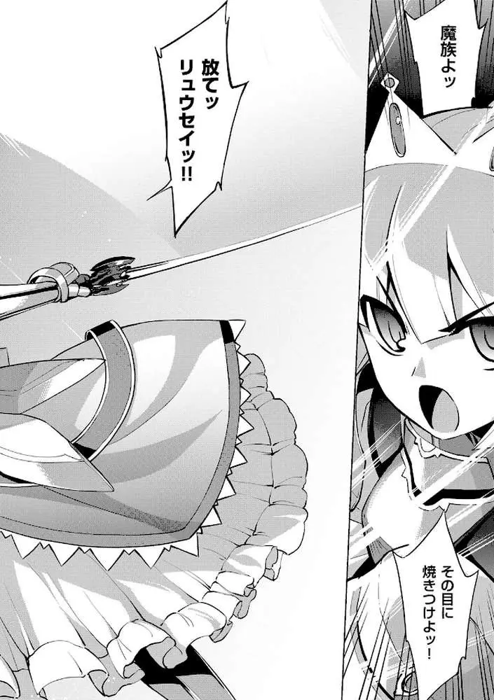 魔剣の姫士
