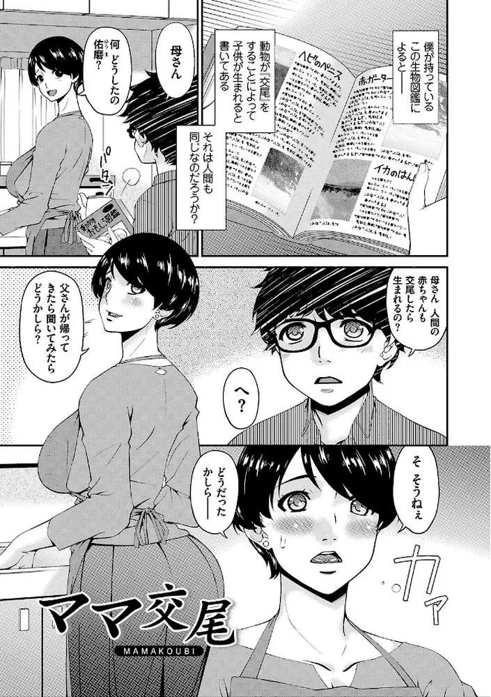 母交尾