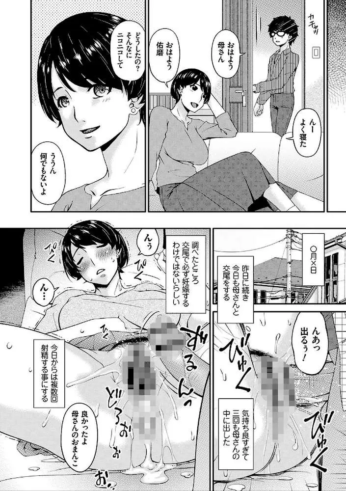 母交尾