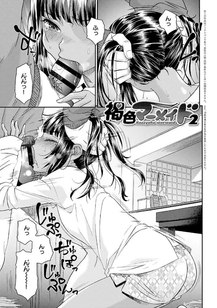 褐色マーメイド