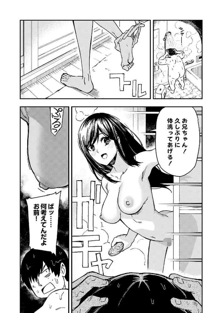 清楚で完璧な妹が俺のことを好きすぎる（単話）