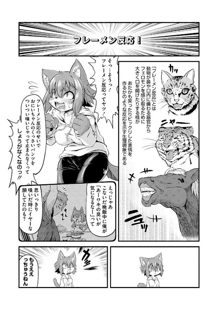 もももけものも ★壁紙おまけつき - ページ21