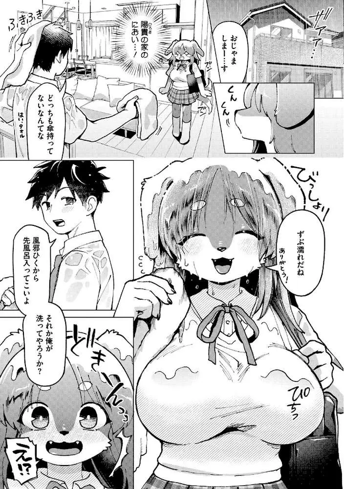 COMIC外楽 Vol.023 - ページ17